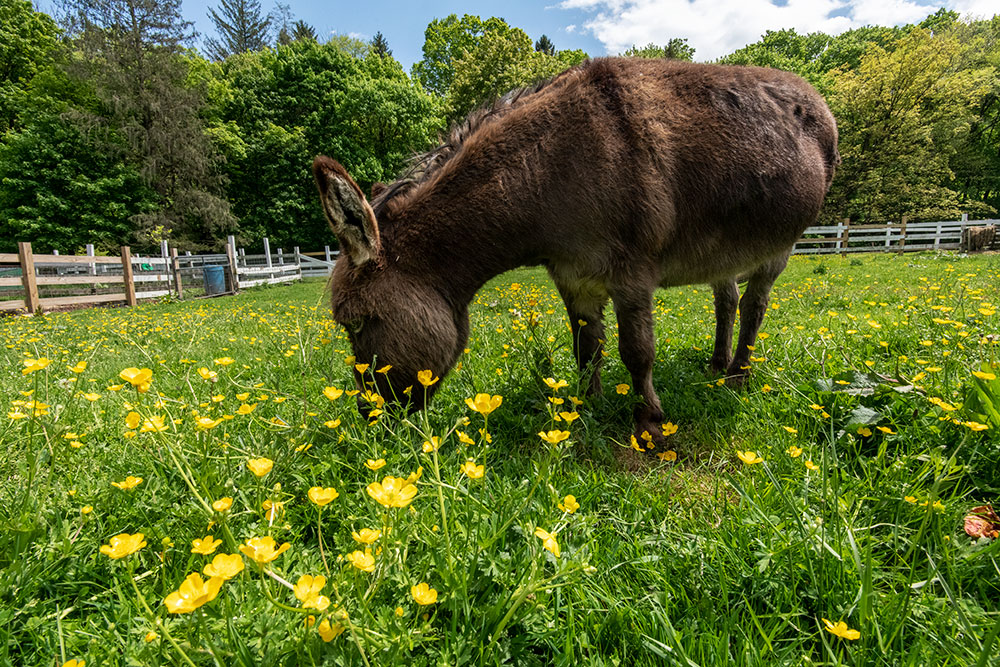 DSC_7762.jpg